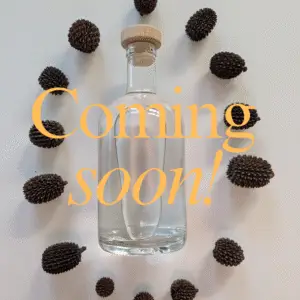 Summer Honey Liqueur