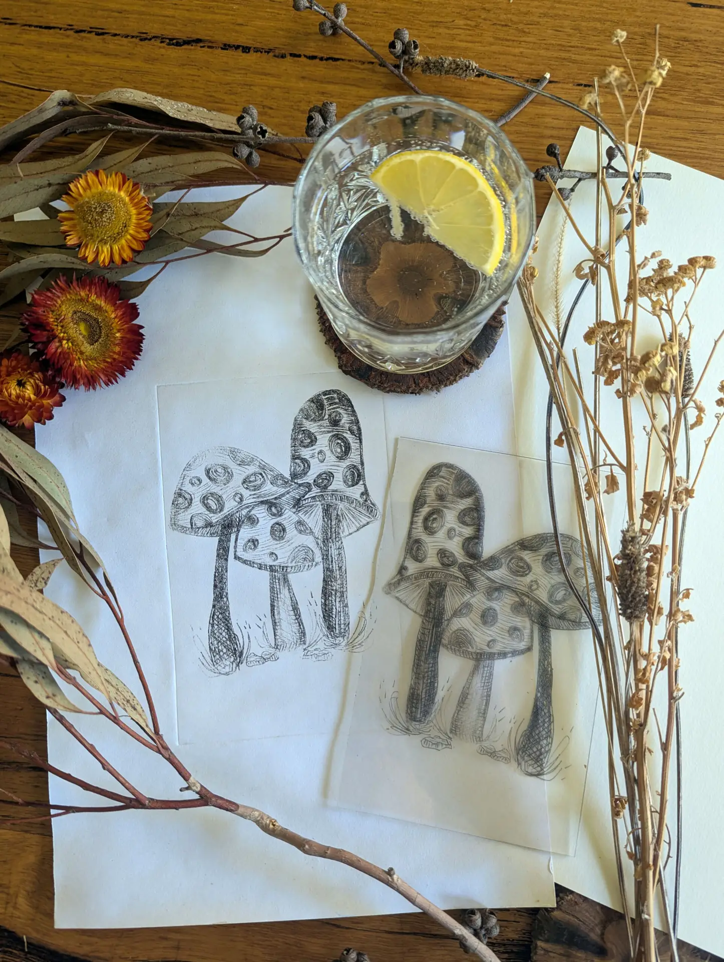 Botanical Etching Workshop October 2025